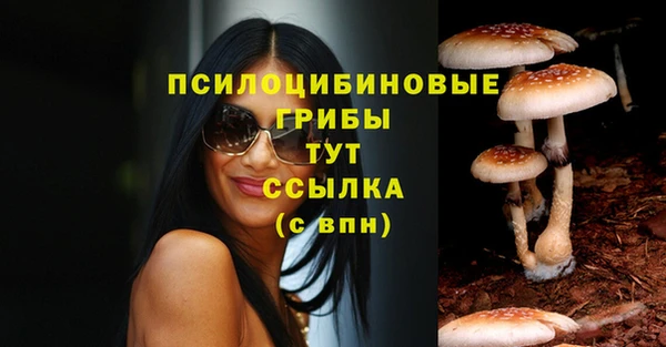 прущие крисы Аркадак