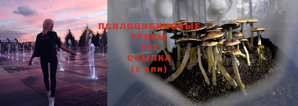 прущие крисы Аркадак