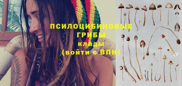 прущие крисы Аркадак