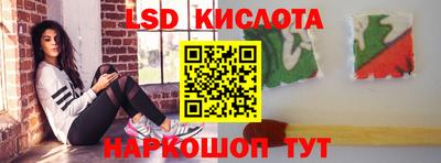 PSILOCYBIN Гатчина