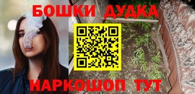 PSILOCYBIN Гатчина