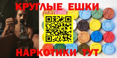 PSILOCYBIN Гатчина